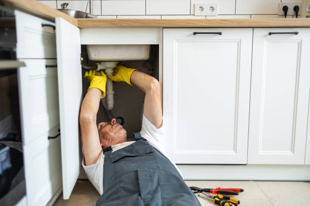 Best Commercial Plumbing Services  in St Paul Park, MN