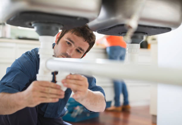 Best Plumbing Inspection Services  in St Paul Park, MN